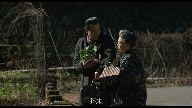 记我的母亲