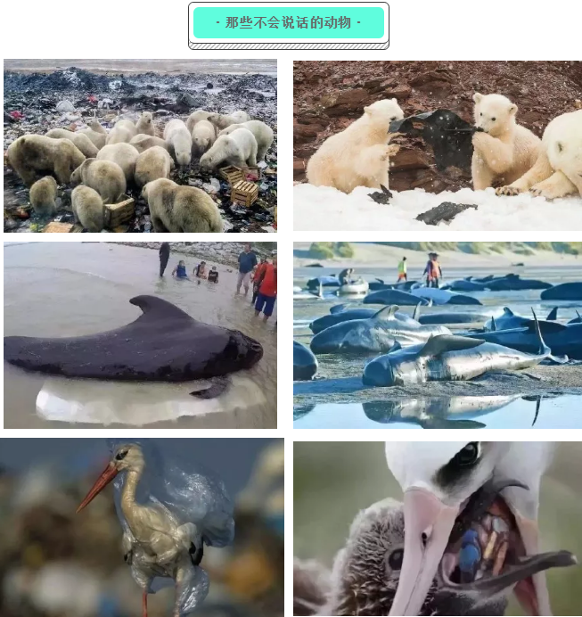 QQ截图20190708112702.png